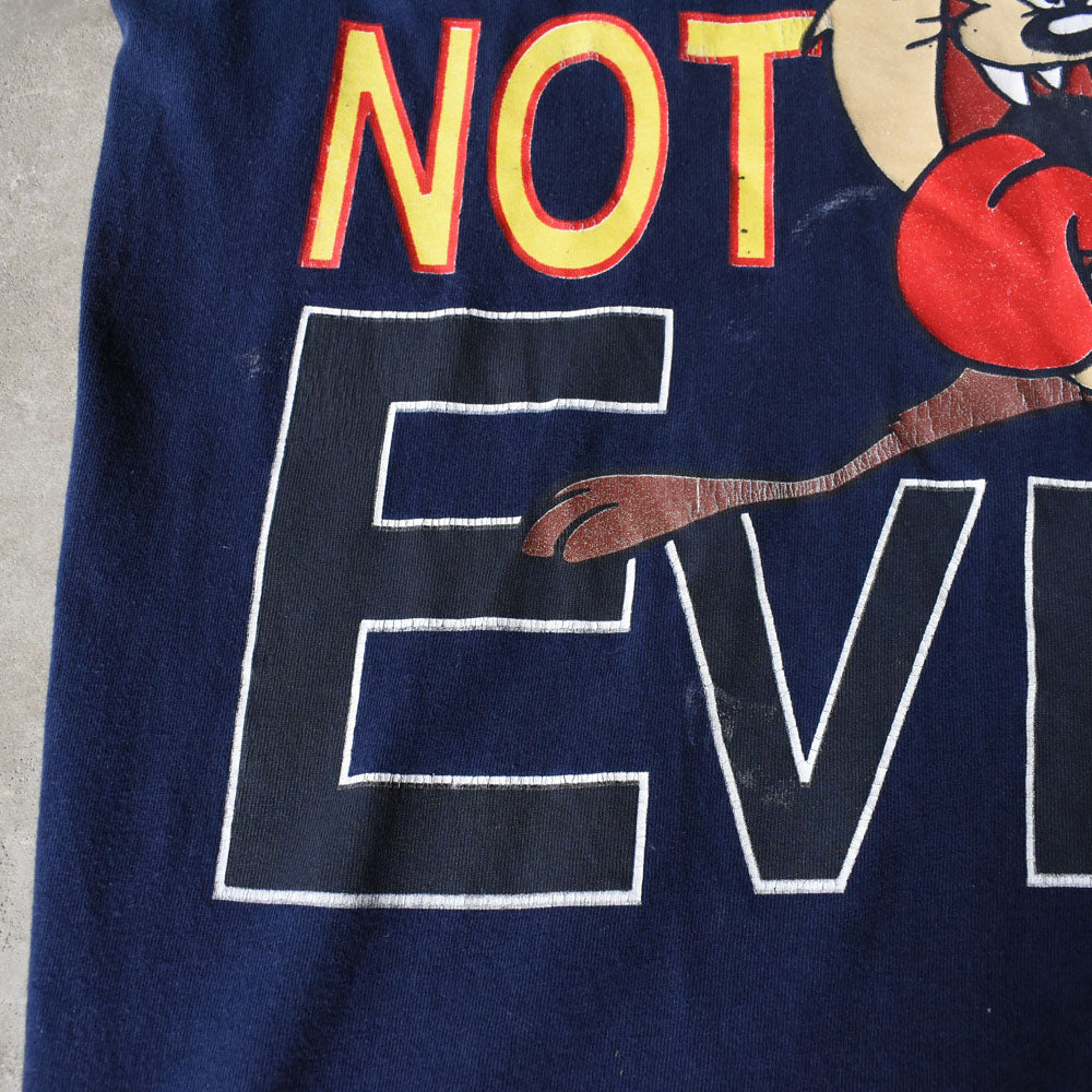 90’s Looney Tunes “TAZMANIAN DEVIL” キャラクターTシャツ 250604