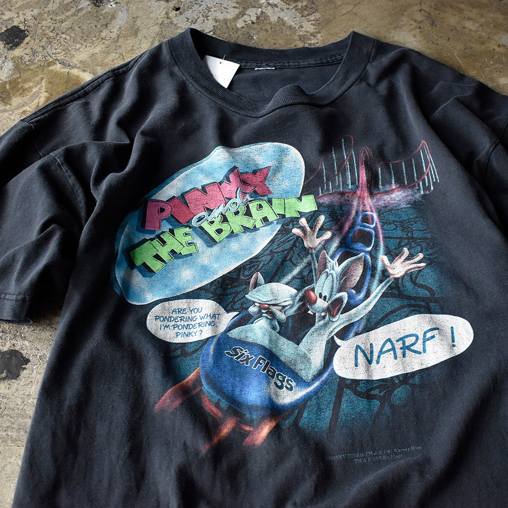 ピンキー&ブレイン Six Flags ジェットコースター キャラクターTシャツ 1997年 ヴィンテージ