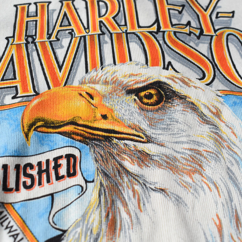 90’s デッドストック Harley-Davidson “stargis” ヘンリーネック ロングスリーブ Tシャツ 250531