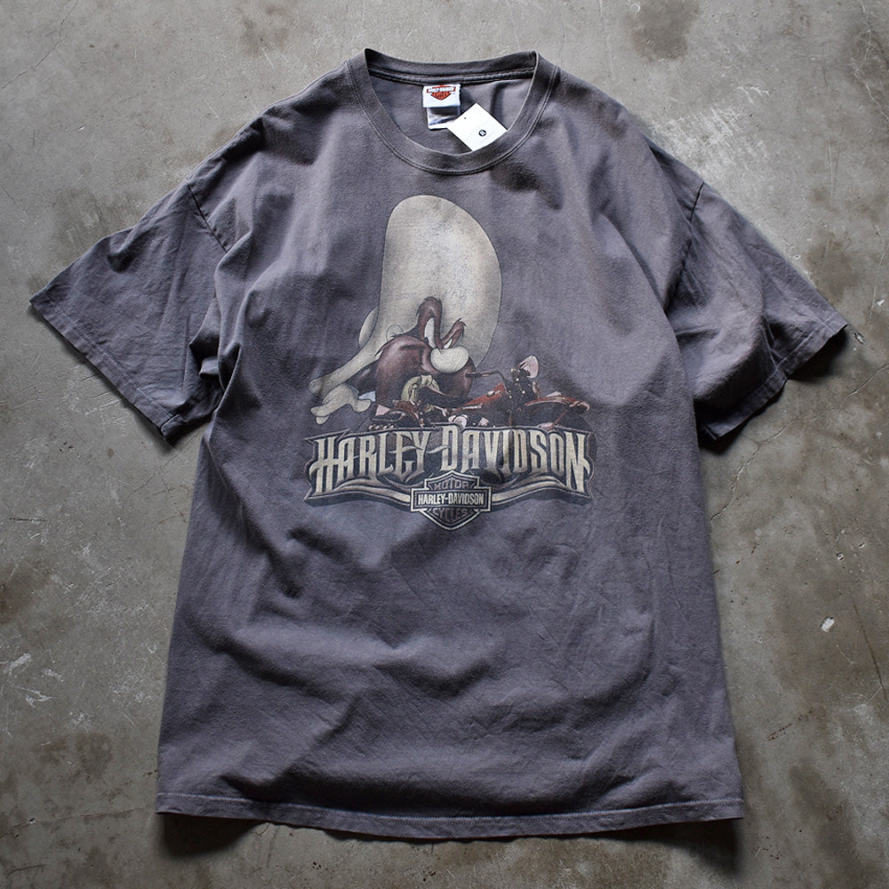 Y2K　Harley-Davidson × Looney Tunes/ハーレーダビッドソン × ルーニー・テューンズ Tシャツ　230501