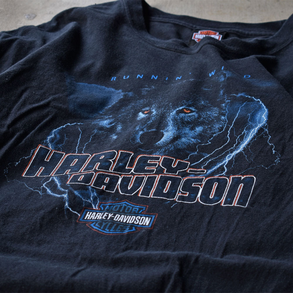 Y2K　Harley-Davidson/ハーレー・ダビッドソン "RUNNIN' WILD" Tシャツ　230530