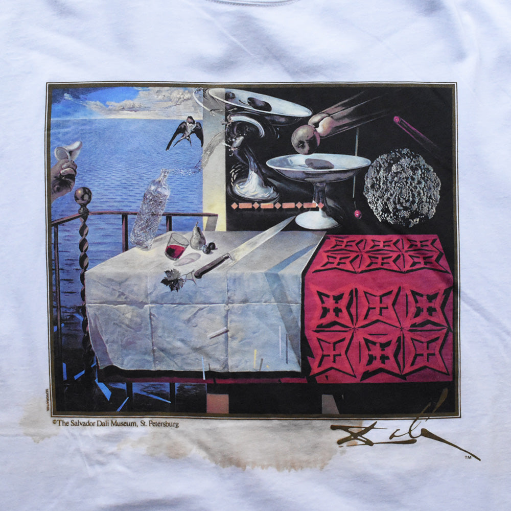 90’s デッドストック！ Salvador Dalí “Nature Morte Vivante (Living Still Life)” アート Tシャツ USA製 250607 (J)