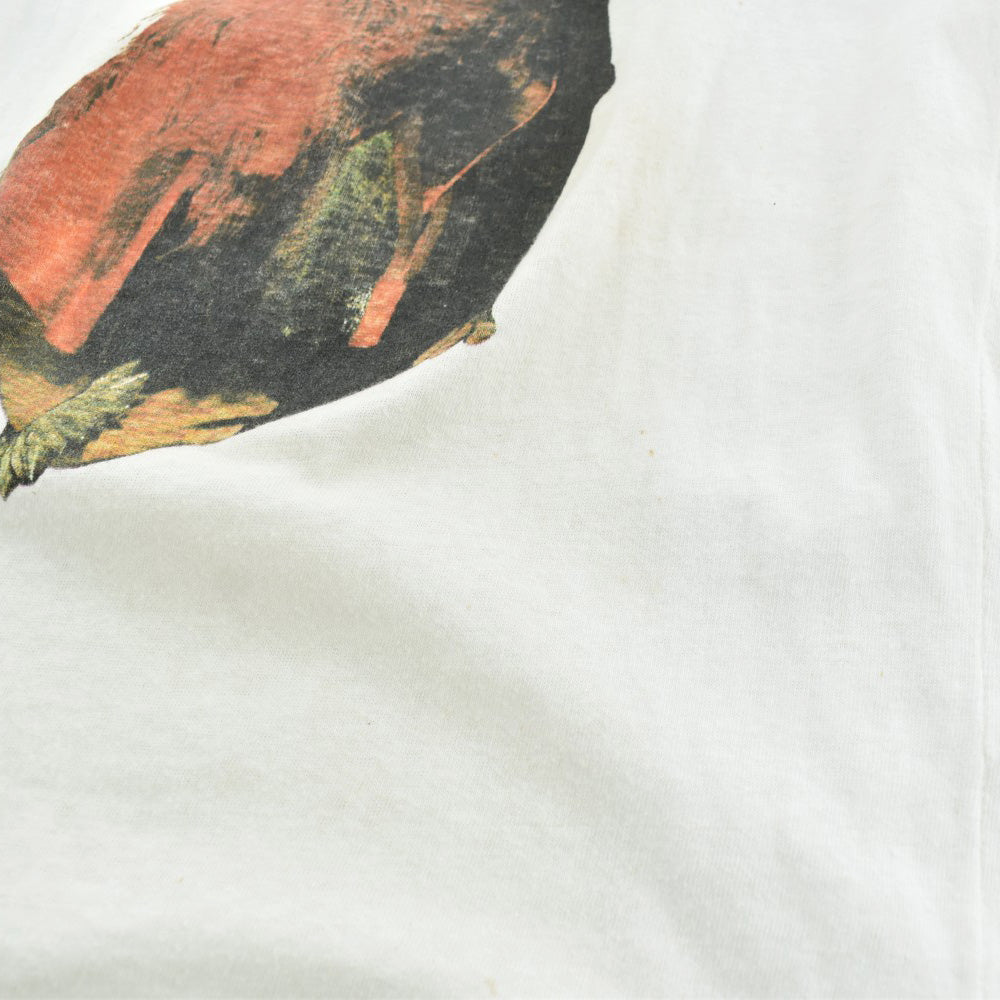 70's T. Rex "The Electric Warrior" Marc Bolan グラム ロックTシャツ 260828H