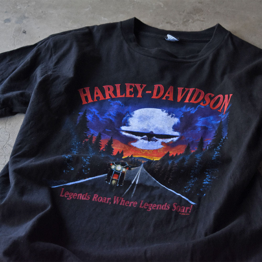 Y2K Harley-Davidson “Legends Roar, Where Legends Soar!” 両面プリント Tシャツ USA製 240615