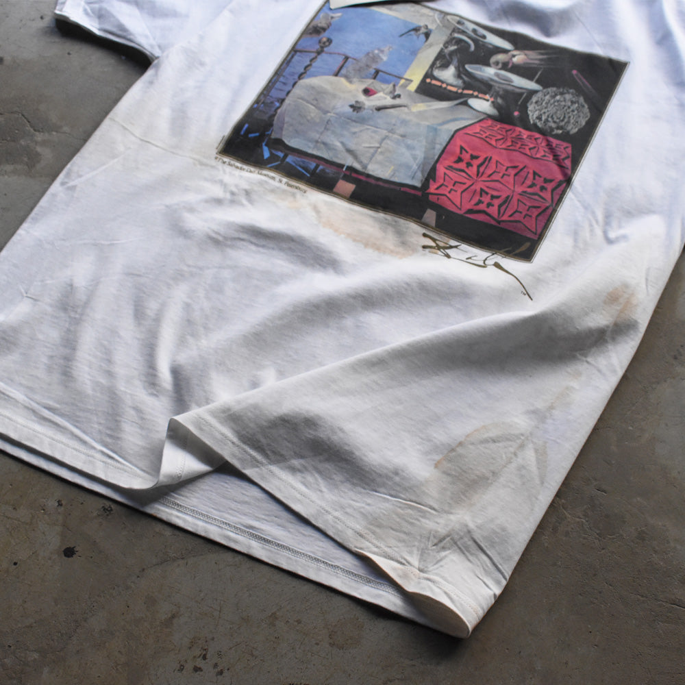 90’s デッドストック！ Salvador Dalí “Nature Morte Vivante (Living Still Life)” アート Tシャツ USA製 250607 (J)