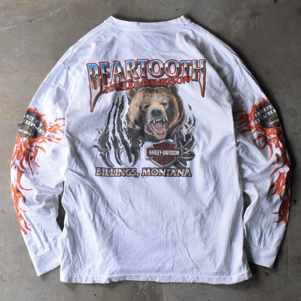 Y2K Harley-Davidson “BEARTOOTH” ベア ファイヤーパターン ロングスリーブ Tシャツ USA製 240525