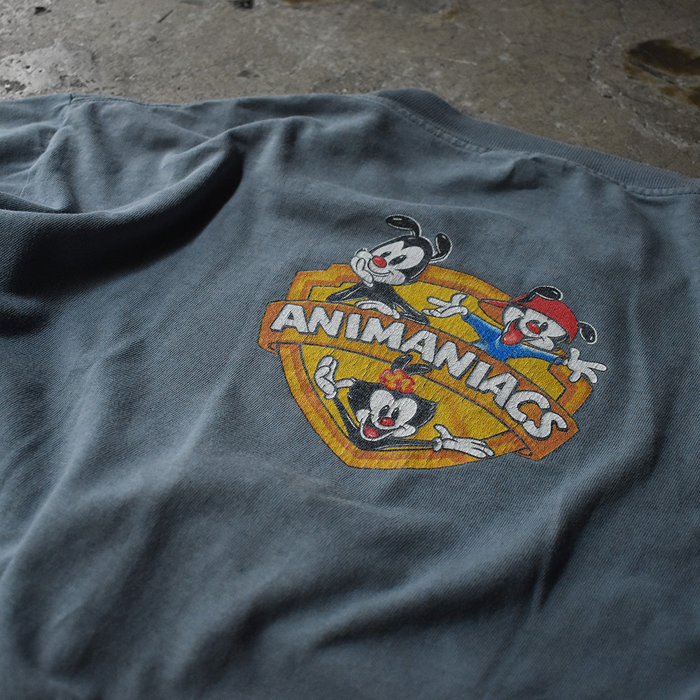 90's　Animaniacs/アニマニアックス Tee　USA製　230628H