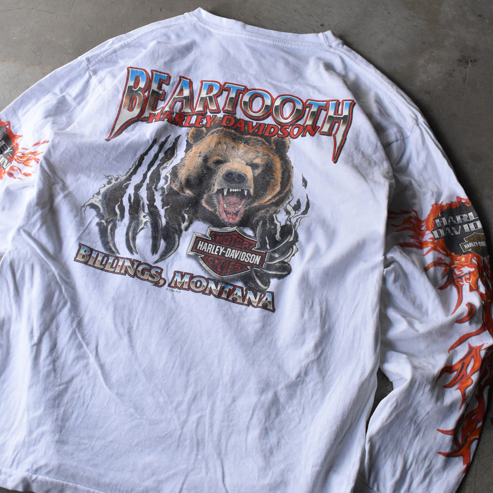 Y2K Harley-Davidson “BEARTOOTH” ベア ファイヤーパターン ロングスリーブ Tシャツ USA製 240525