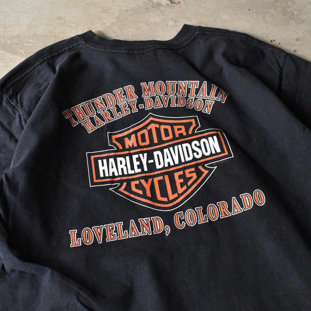 Y2K Harley-Davidson “THUNDER MOUNTAIN” バー＆シールド ロゴ Tシャツ USA製 240527