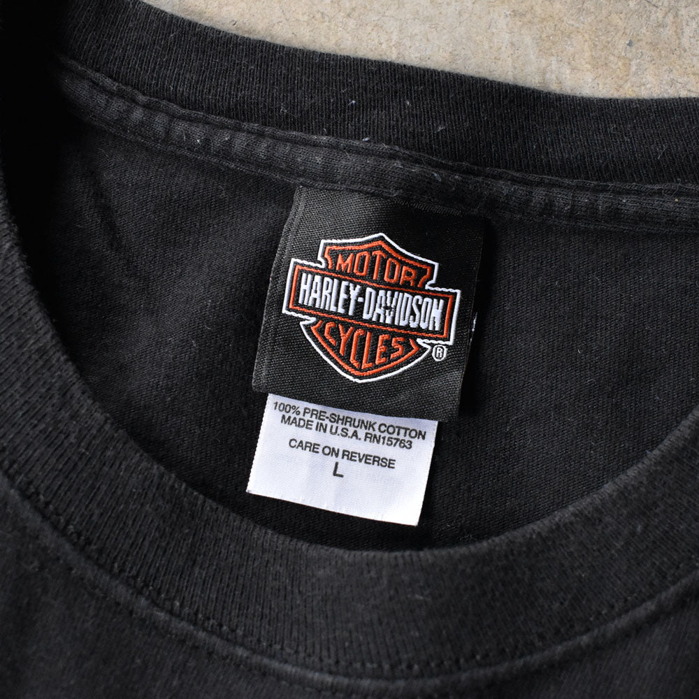 Harley-Davidson “NEW YORK CITY” サンダー イーグル Tシャツ USA製 240523