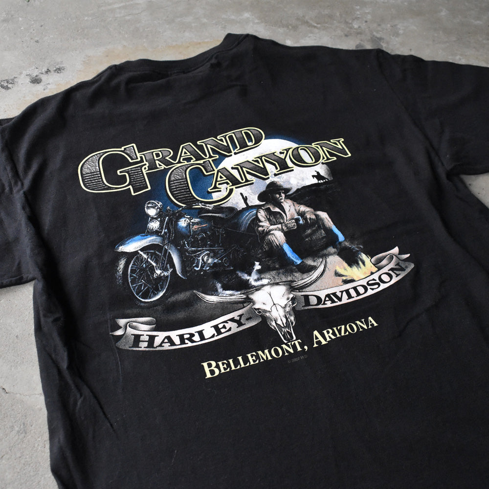 Harley-Davidson “GRAND CANYON” 両面プリント ポケット Tシャツ USA製 240728