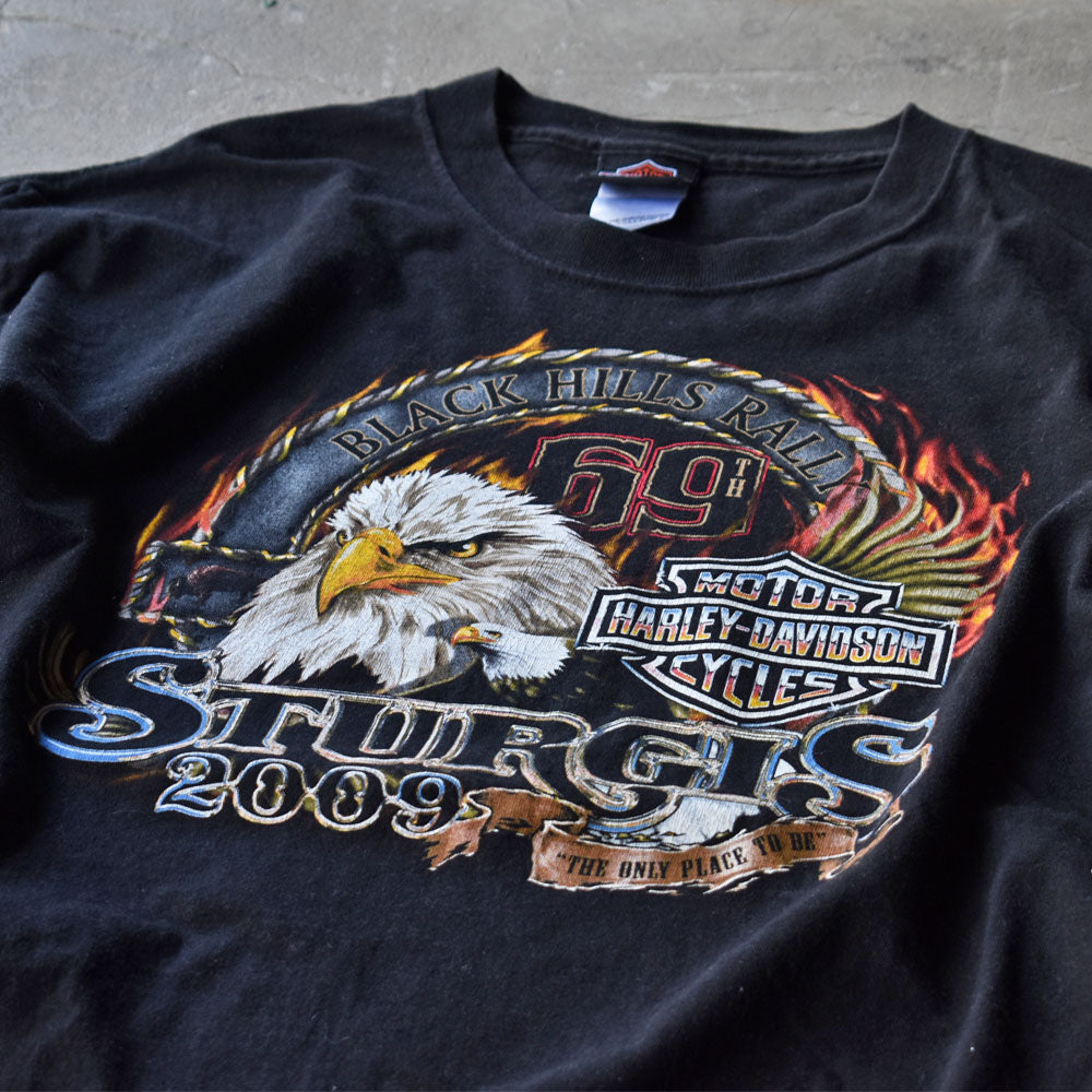 Y2K　Harley-Davidson/ハーレー・ダビッドソン “BLACK HILLS RALLY 69th STURGIS 2009” 両面プリント Tシャツ　USA製　230824