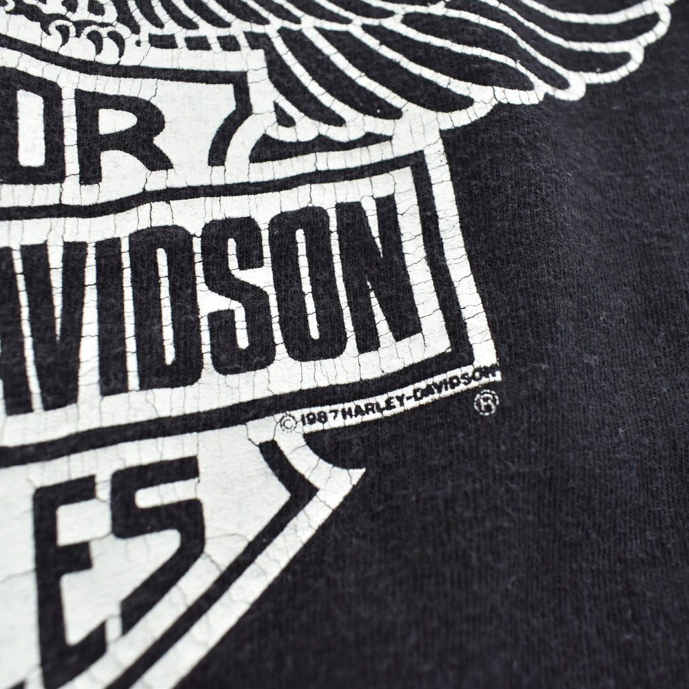 80's HARLEY-DAVIDSON "EAGLE EYE" バイクTシャツ 260526HFK2