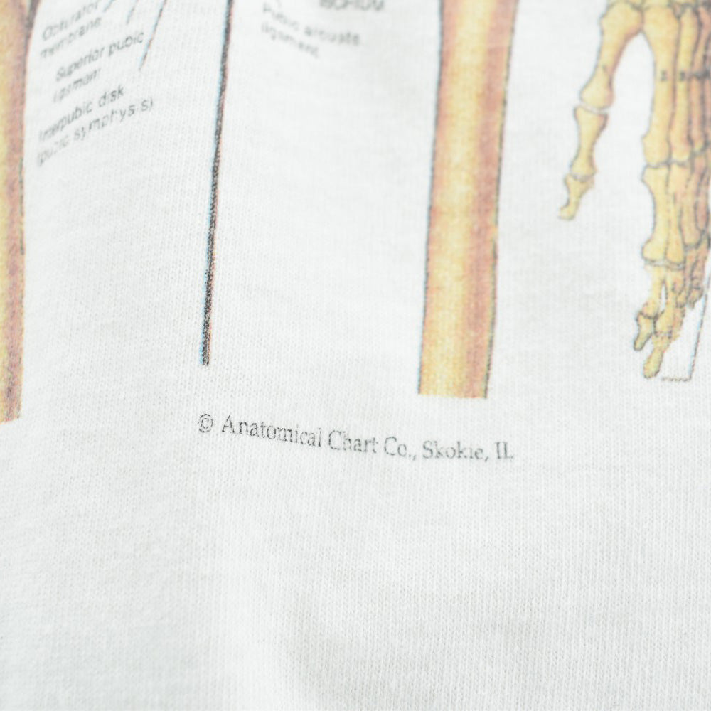 90's Anatomical Chart Co. 人体骨格図 スケルトン Tシャツ 260417H