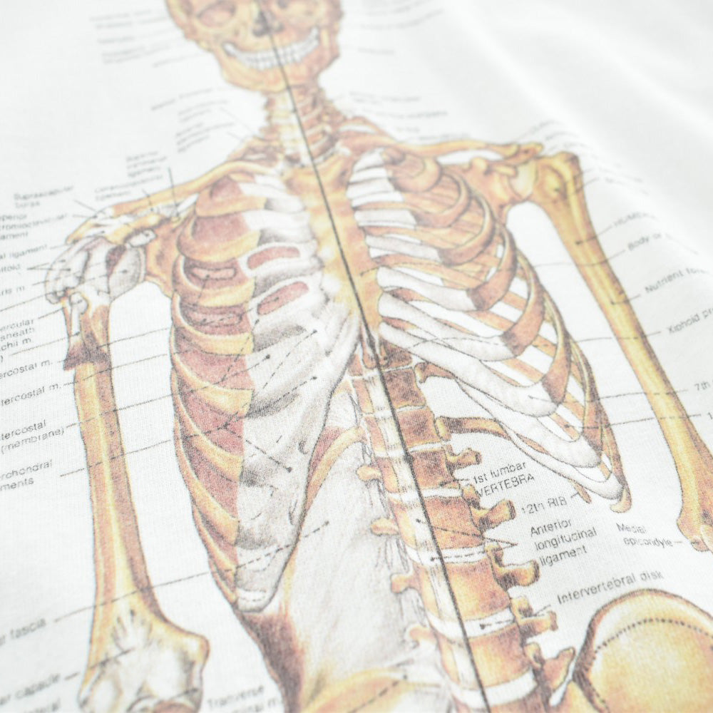 90's Anatomical Chart Co. 人体骨格図 スケルトン Tシャツ 260417H