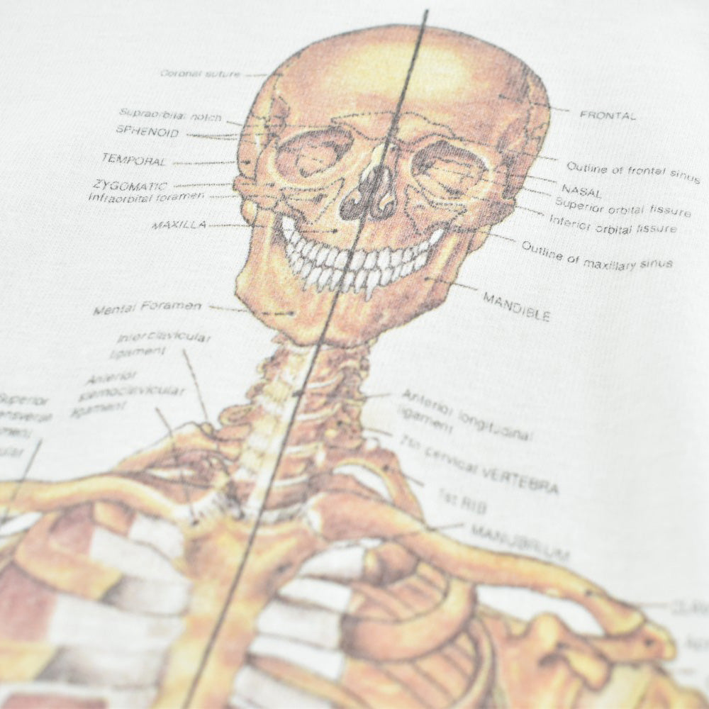 90's Anatomical Chart Co. 人体骨格図 スケルトン Tシャツ 260417H