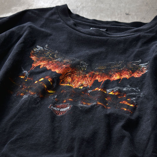 Y2K Harley-Davidson/ハーレー・ダビッドソン ファイヤーパターン!両面プリント Tシャツ USA製 230516