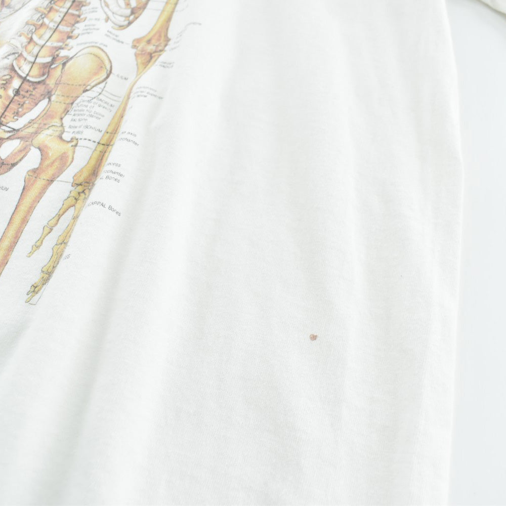 90's Anatomical Chart Co. 人体骨格図 スケルトン Tシャツ 260417H