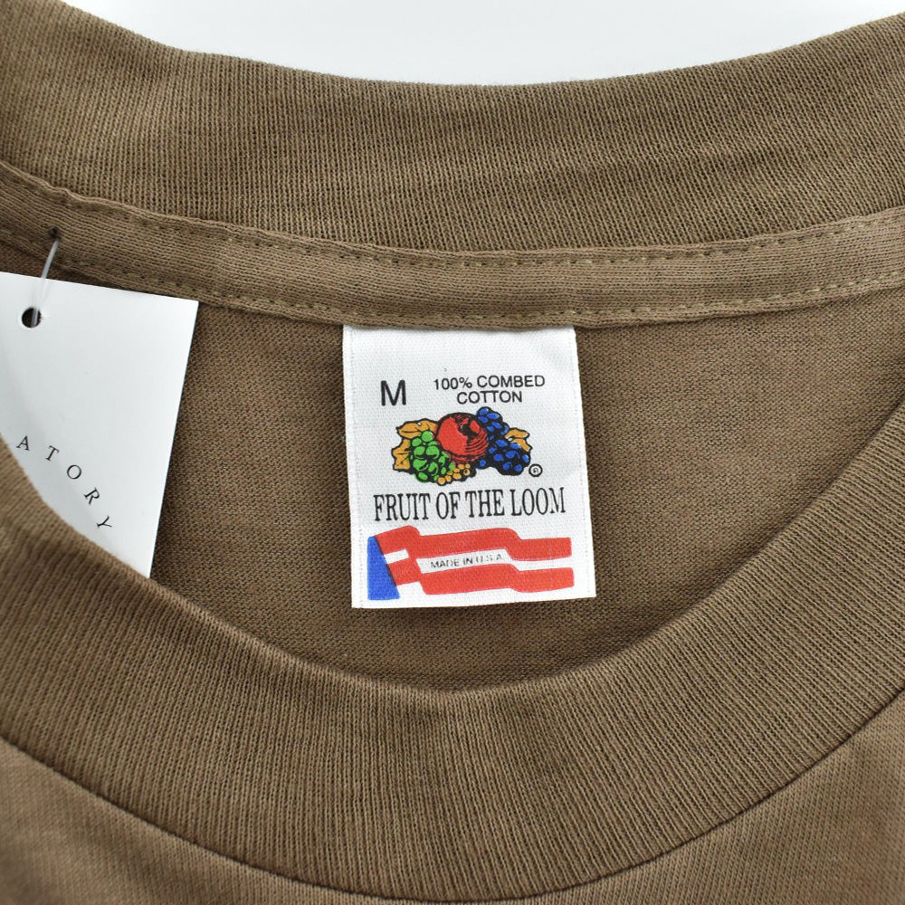 90's N.O.S. "Fruit of the Loom" ブランクTシャツ コヨーテ USA製 260421H
