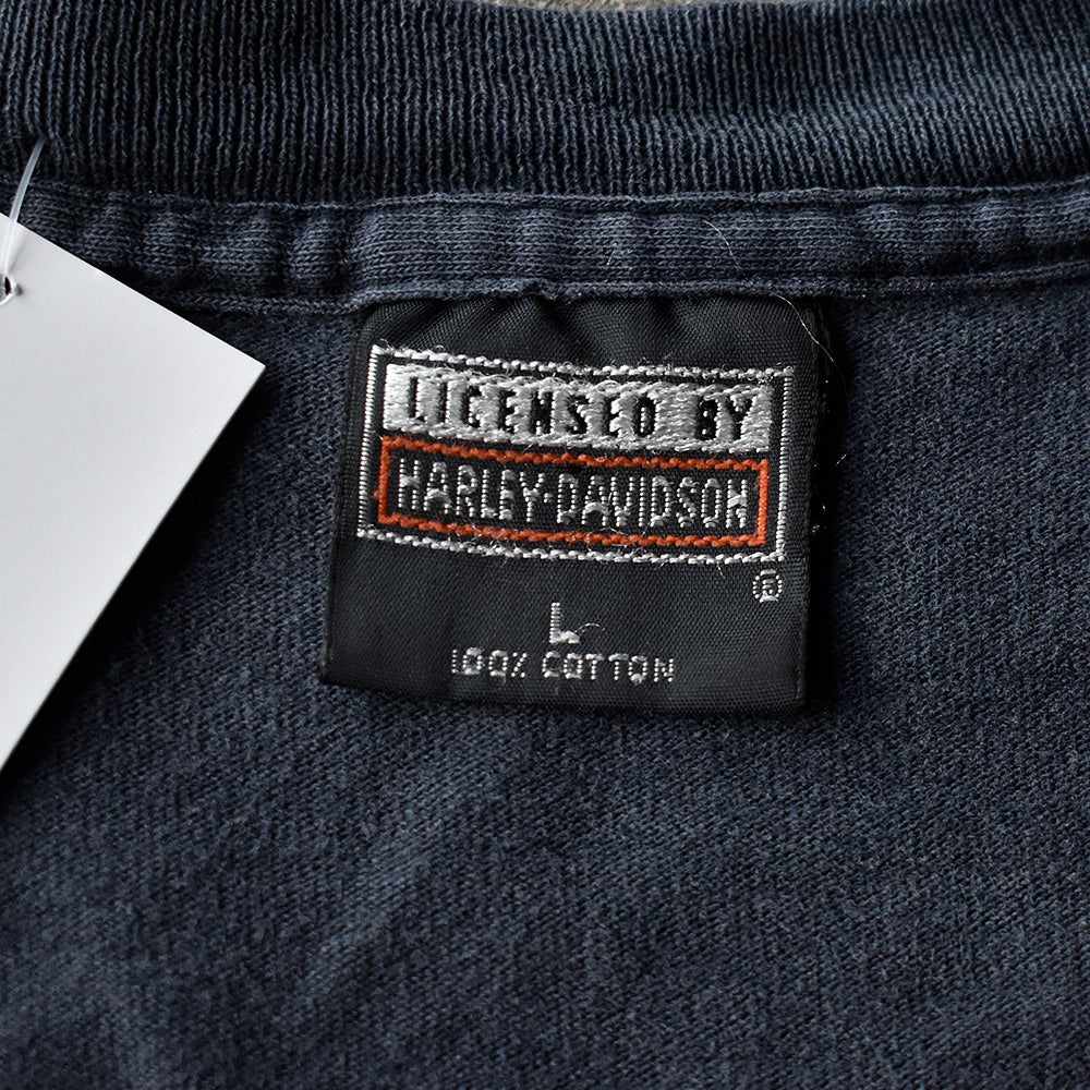 90's Harley-Davidson “イーグル×ハーレー” Tシャツ USA製 250622H