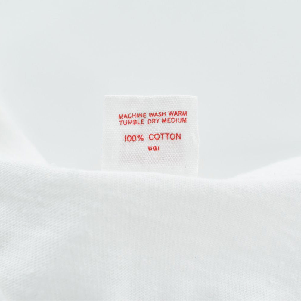 80's "IN DECENT EXPOSURE" 浮世絵 春画 アートTシャツ 260821H