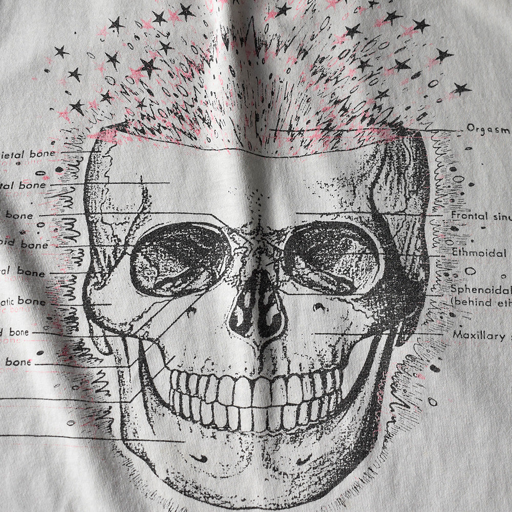 90's The Flaming Lips フォト+スカル Tシャツ “Couleurshirt掲載” 231002H