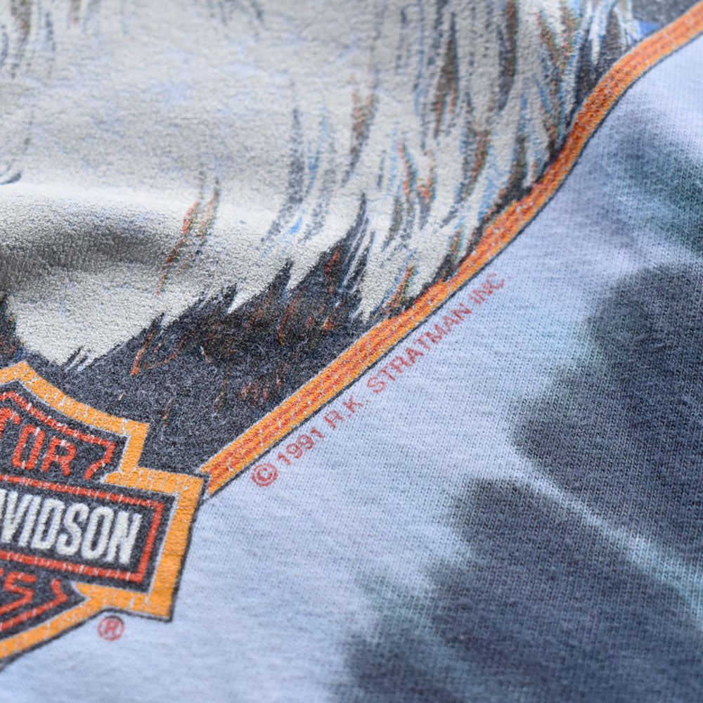 90’s Harley-Davidson “Atlantic country” タイダイ Tシャツ USA製 240508