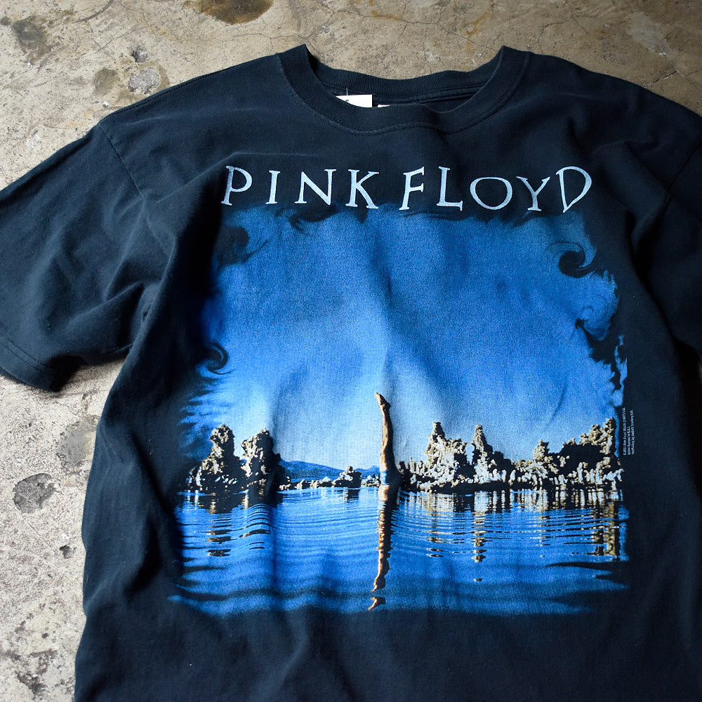 ピンク・フロイド Wish You Were Here 海のフォト Tシャツ 2001年 古着