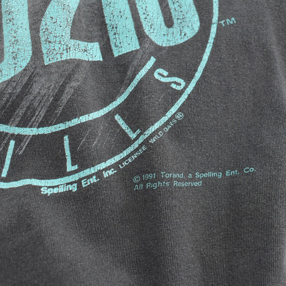 90's Beverly Hills 90210 ディラン・マッケイ Tシャツ USA製 260522H