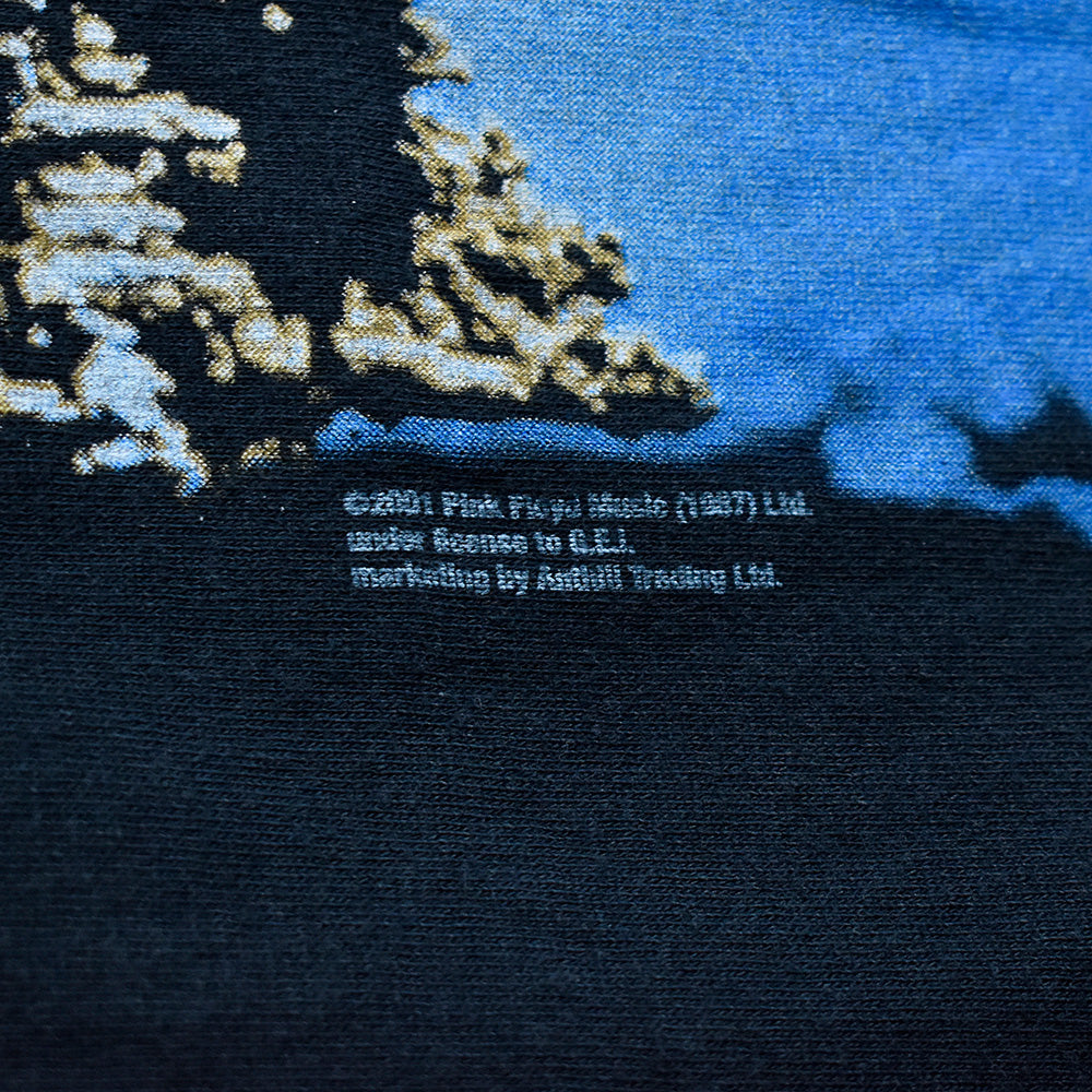 Y2K PINK FLOYD "Wish You Were Here" Tシャツ 240605H