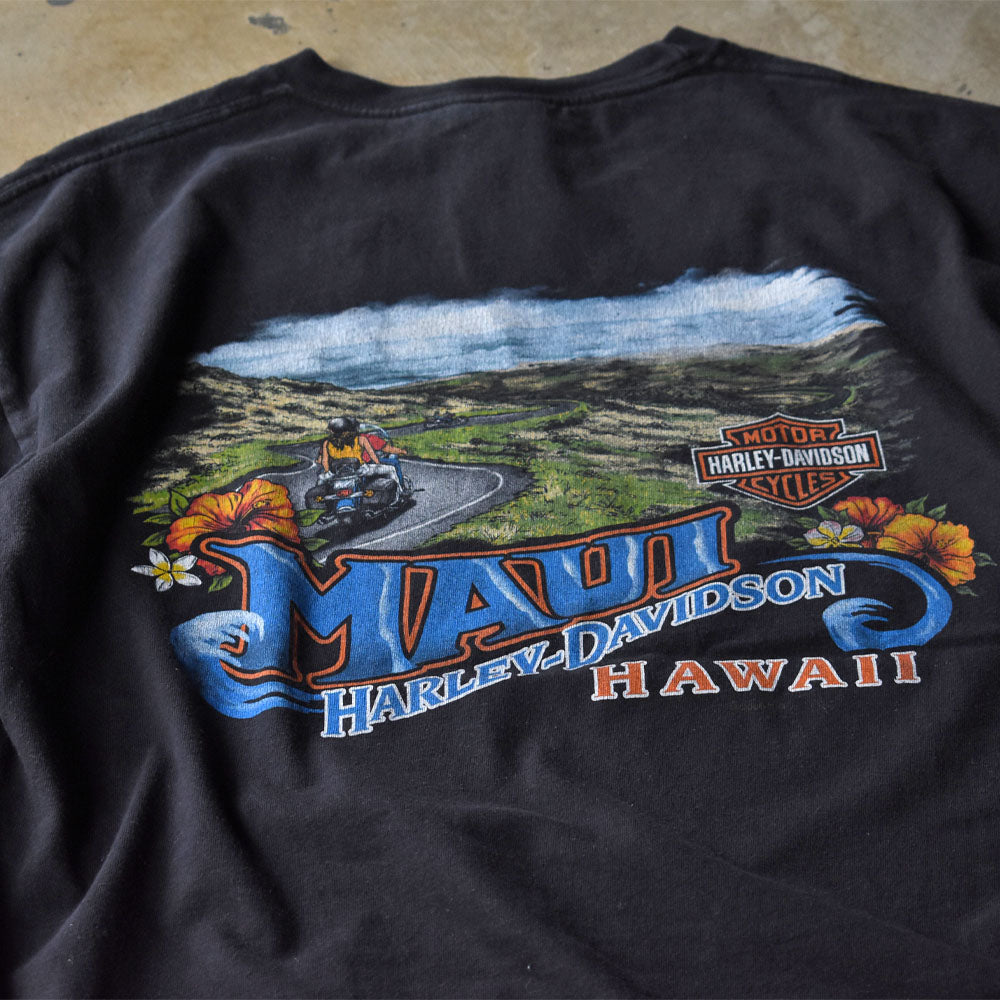 ハーレーダビッドソン HAWAII 両面プリント Tシャツ 2006年 ブラック USA製 古着