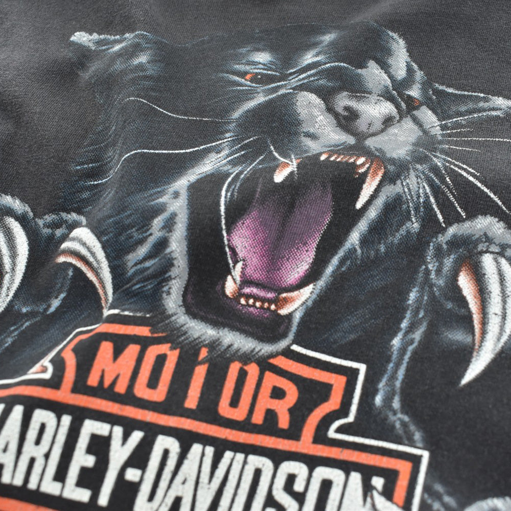 90's HARLEY-DAVIDSON "Can't Chain The Power" ブラックパンサー バイカーTシャツ USA製 260814H