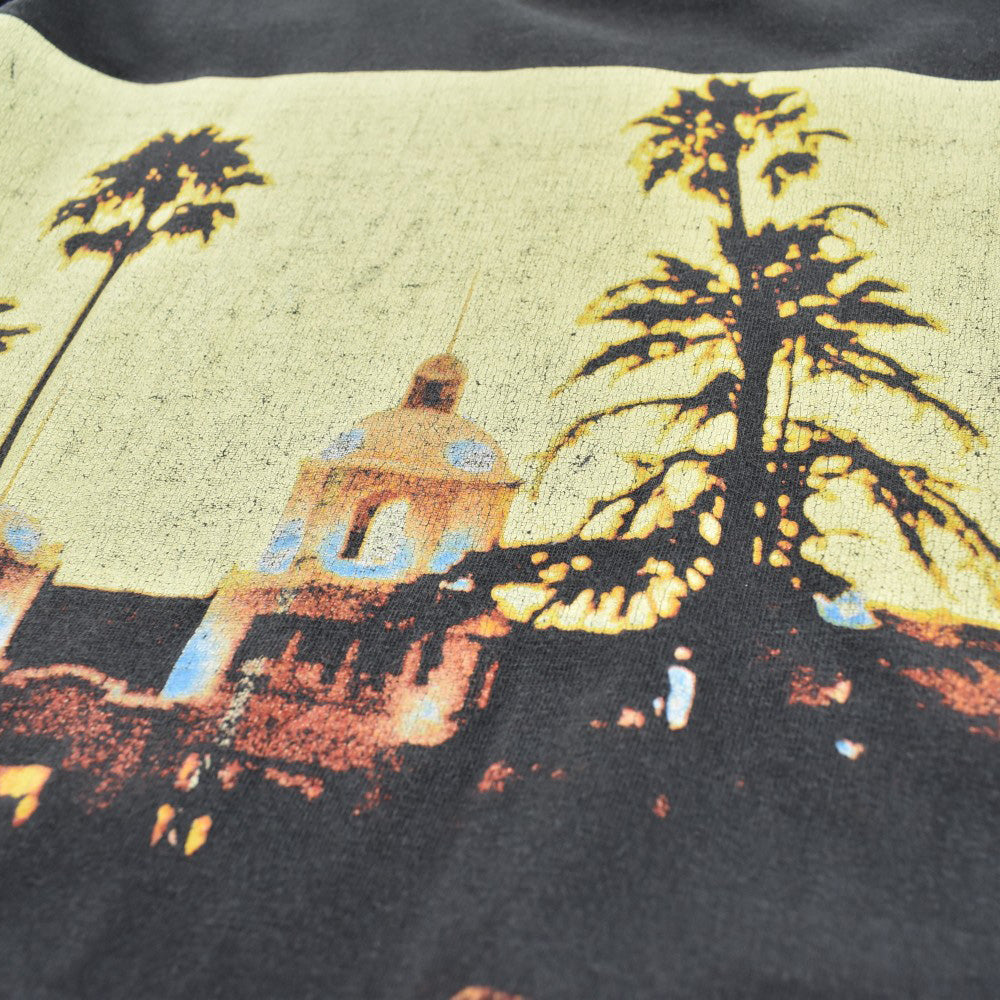 90's EAGLES "Hell Freezes Over 1994" Hotel California ロックTシャツ 260717H