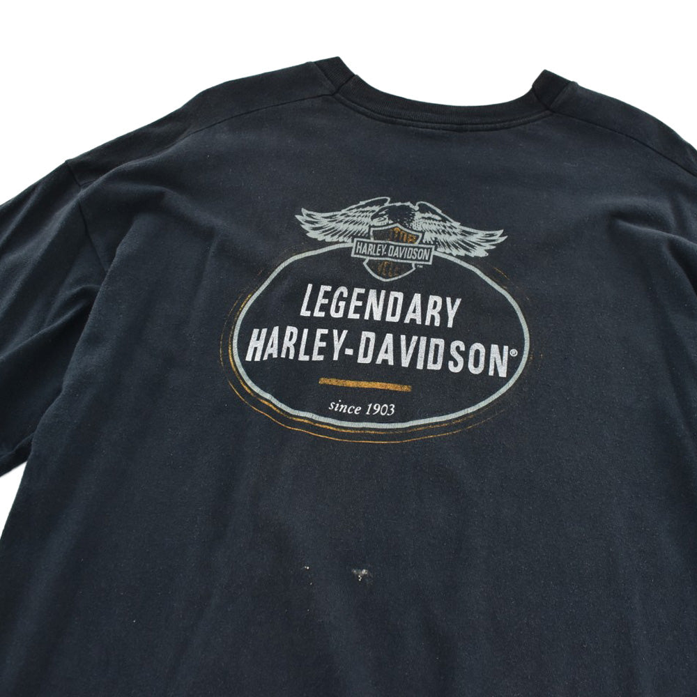 90's Harley-Davidson "LEGENDARY" ハーレーTシャツ 260922H