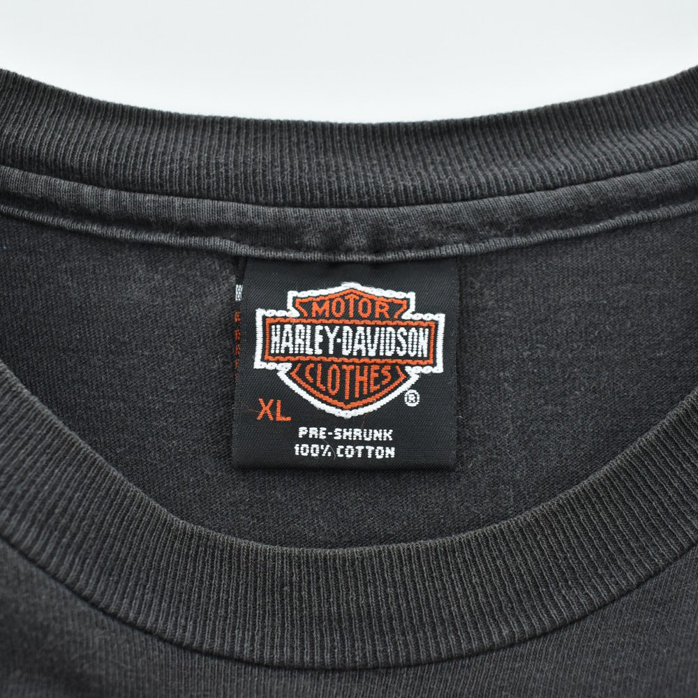 90's HARLEY-DAVIDSON "Can't Chain The Power" ブラックパンサー バイカーTシャツ USA製 260814H