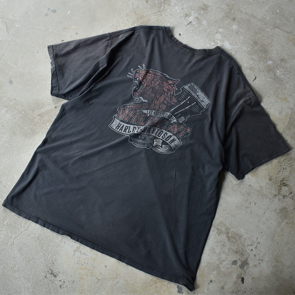 Harley-Davidson/ハーレー・ダビッドソン 雰囲気◎ ”WILD CAT” Tシャツ　230908