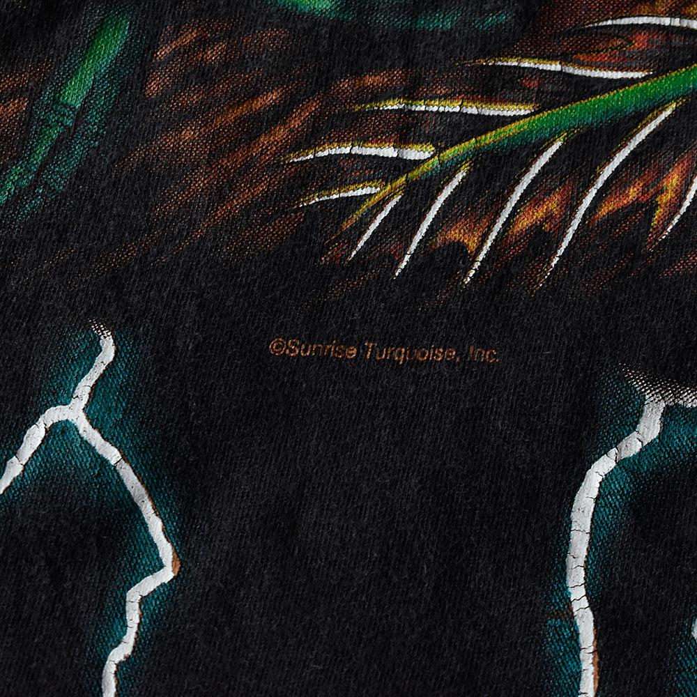 90’s AMERICAN THUNDER “Dragon” Tシャツ 250724H