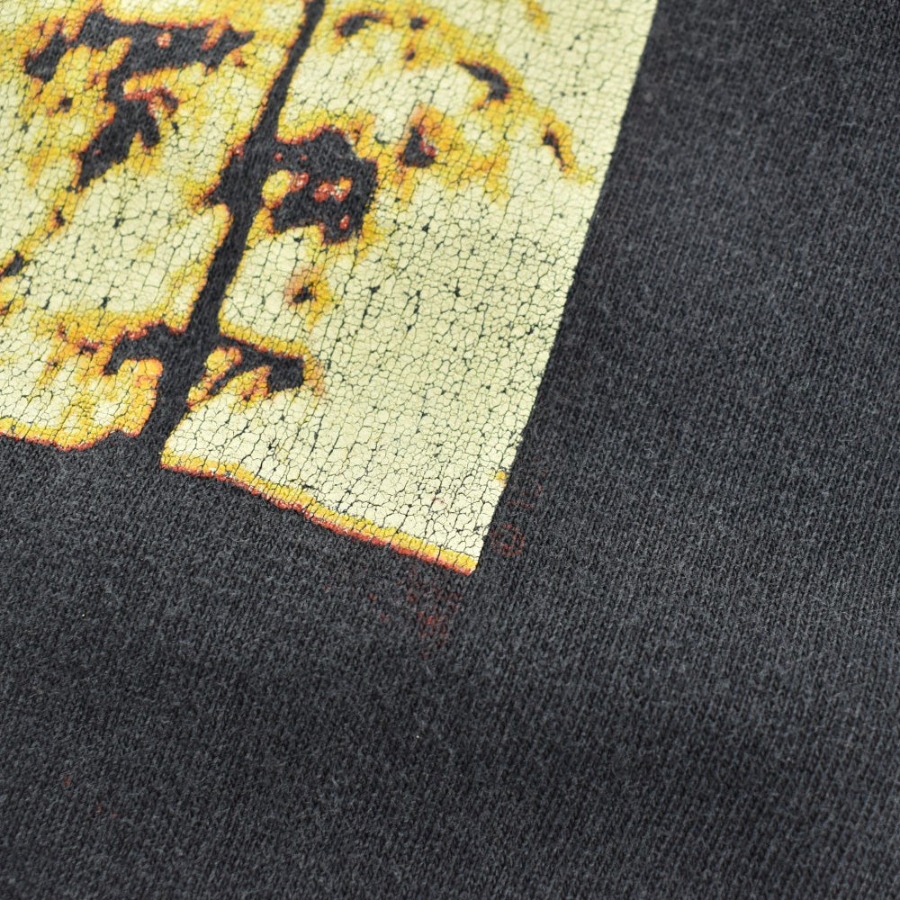 90's EAGLES "Hell Freezes Over 1994" Hotel California ロックTシャツ 260717H