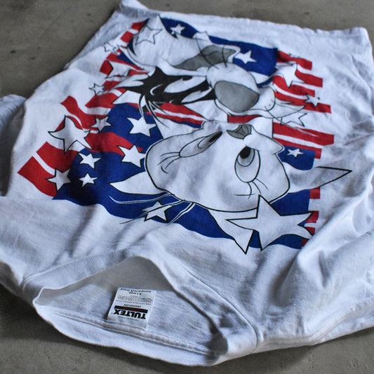 90's TULTEX “Looney Tunes / Tweety & Sylvester Cat” 大判プリント キャラ Tシャツ 240501