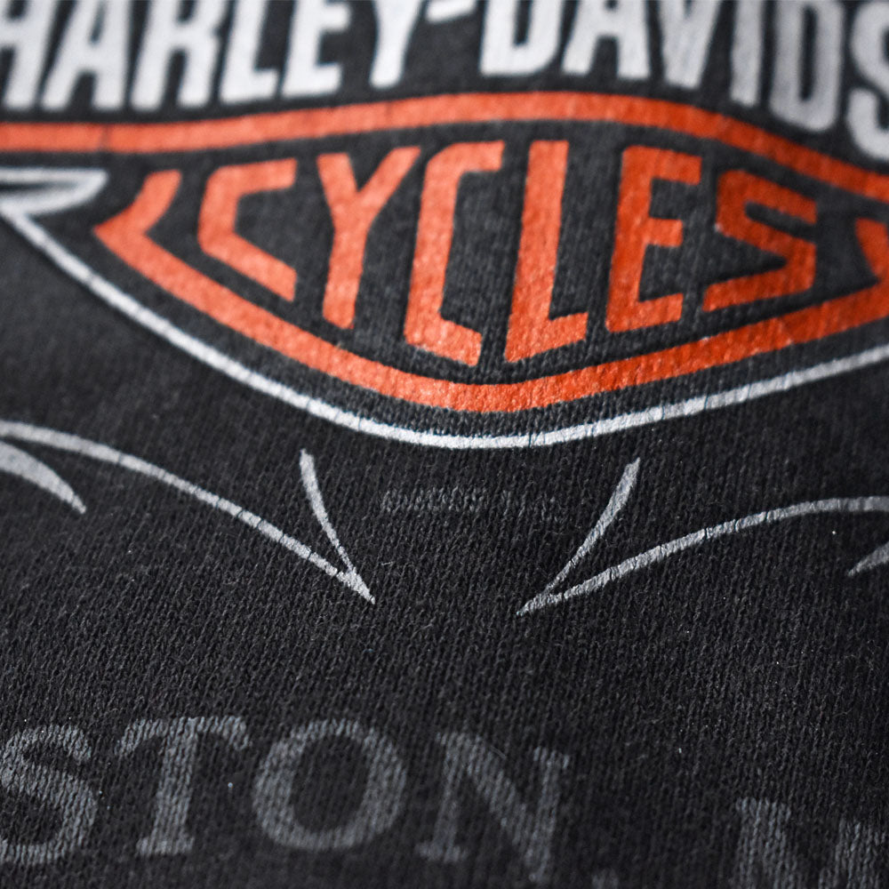 Y2K Harley-Davidson ファイヤーパターン ジップパーカー 240406