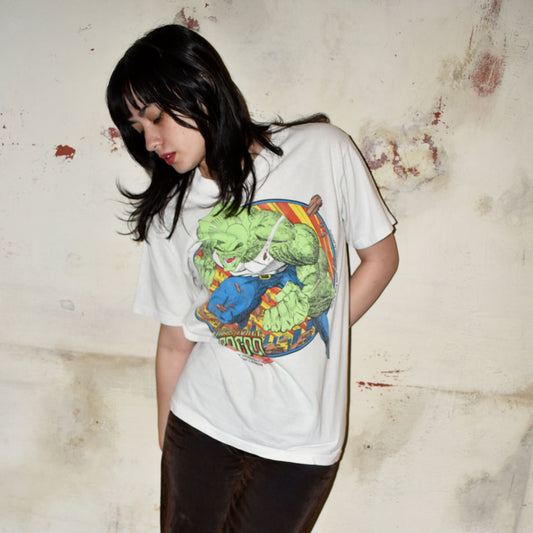 90’s Tennessee River “The Savage Dragon” アメコミ ギーク Tシャツ USA製 250912H