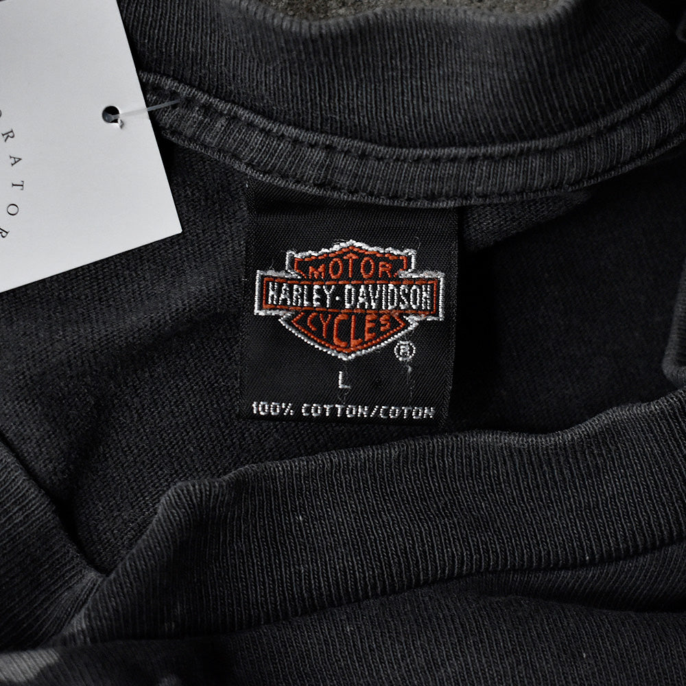 90's ボロ！ Harley-Davidson “星条旗×イーグル” Tシャツ USA製 250604H