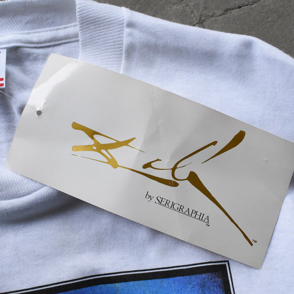 90’s デッドストック！ Salvador Dalí “Apparatus and Hand” 長袖 アート Tシャツ USA製 250607 (E)