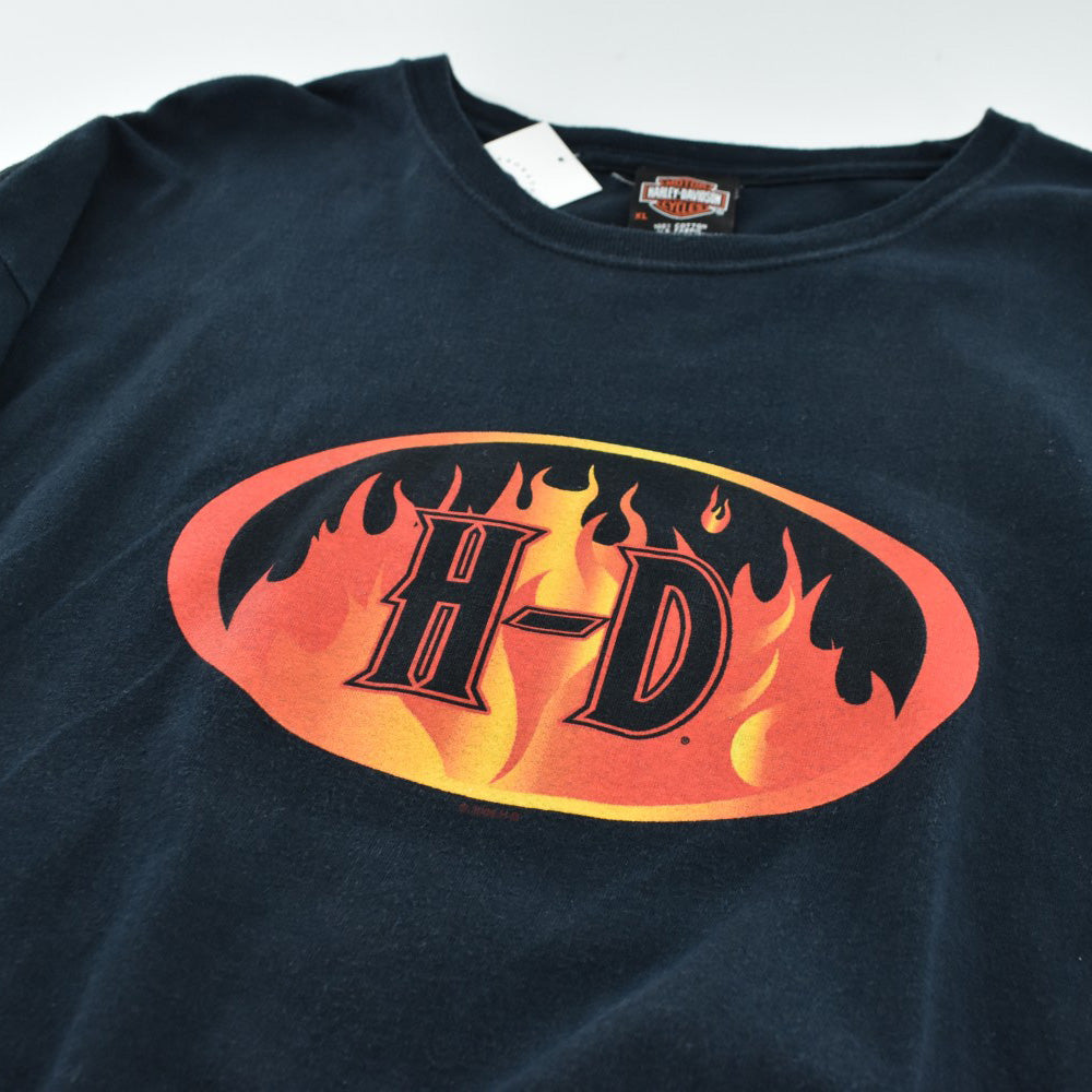 Y2K Harley-Davidson フレイム ファイヤーパターン ロンT 260313H
