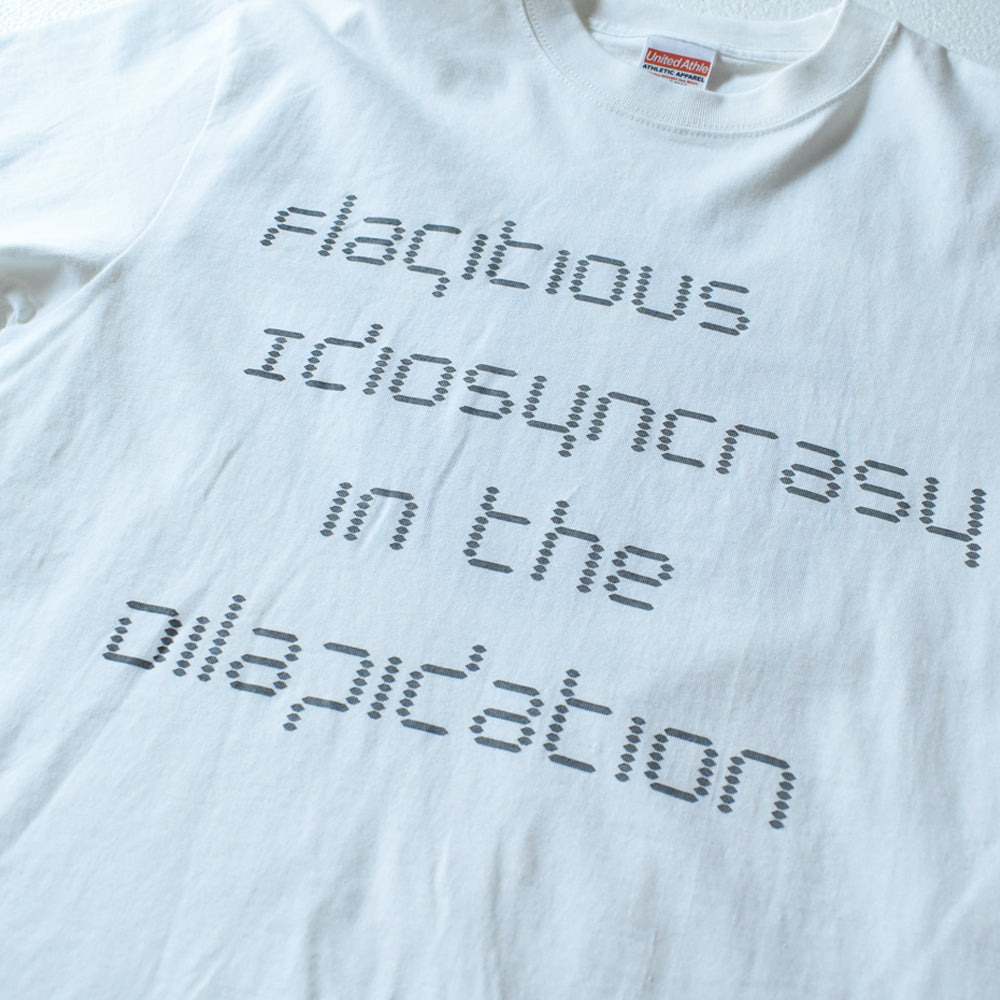 デッドストック！ Flagitious Idiosyncrasy "in the Dilapidation" Tシャツ 250905