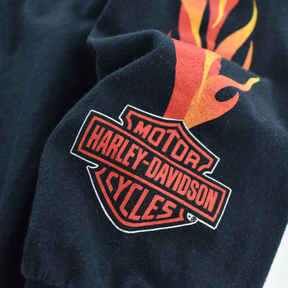 Y2K Harley-Davidson フレイム ファイヤーパターン ロンT 260313H