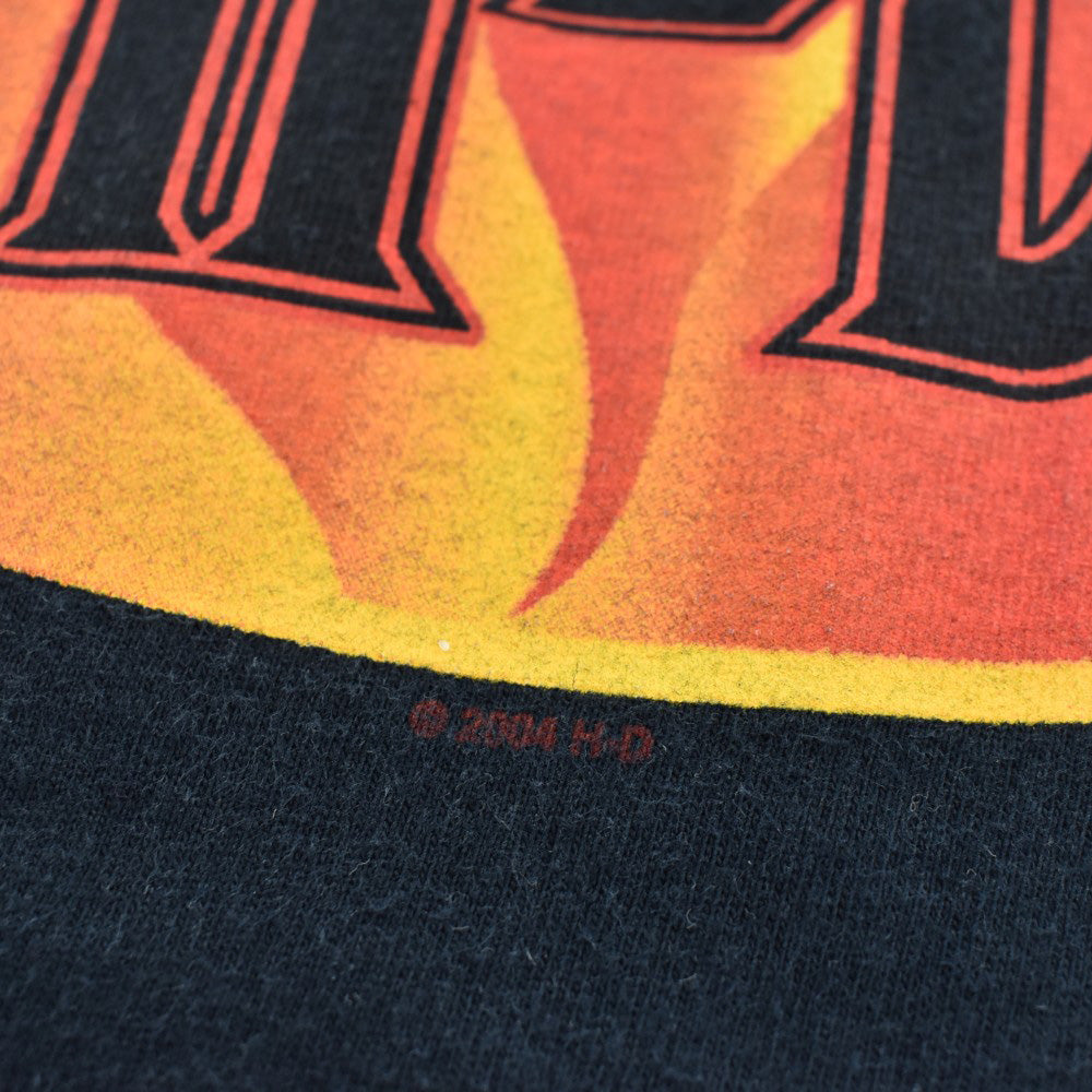 Y2K Harley-Davidson フレイム ファイヤーパターン ロンT 260313H