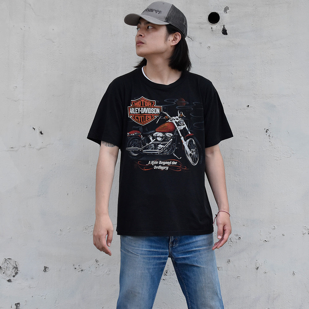 80's Harley Davidson Tシャツ USA製 XXL size！ 240720H