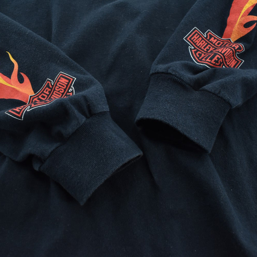 Y2K Harley-Davidson フレイム ファイヤーパターン ロンT 260313H