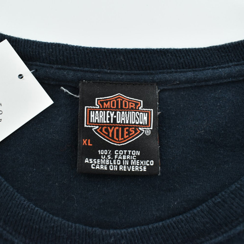 Y2K Harley-Davidson フレイム ファイヤーパターン ロンT 260313H